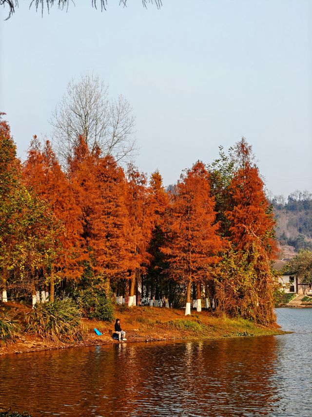 雙洲公園周末擠不下，完全可以去桃花源嘛！