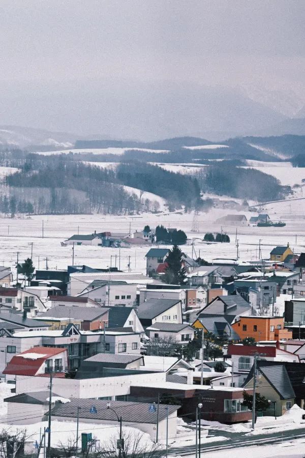 ❄️日本北海道｜美馬牛+美瑛 自由行攻略