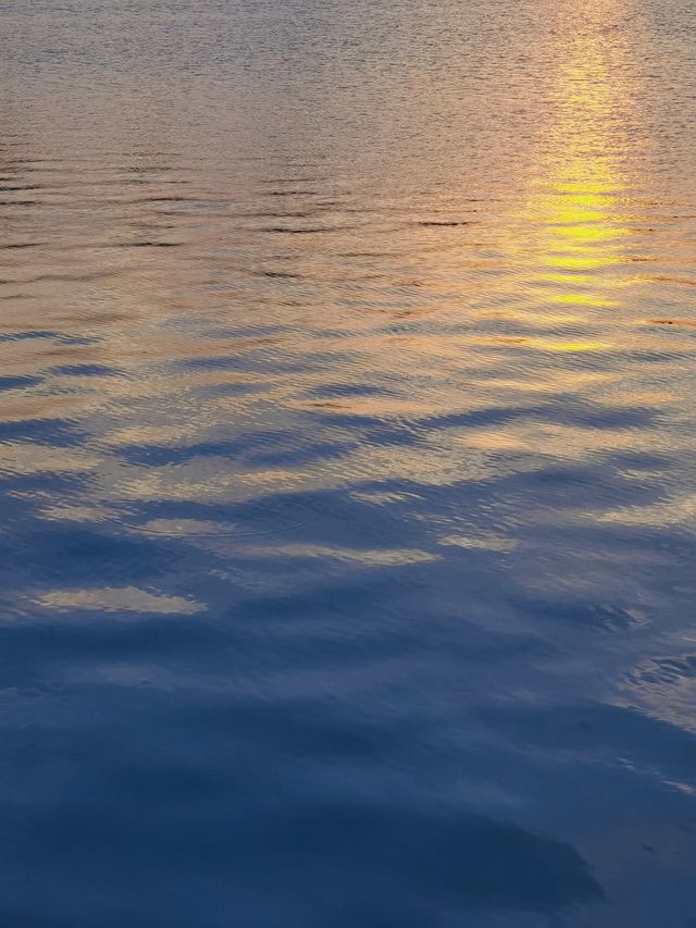 蘭香湖 閔行的隱藏免費景點