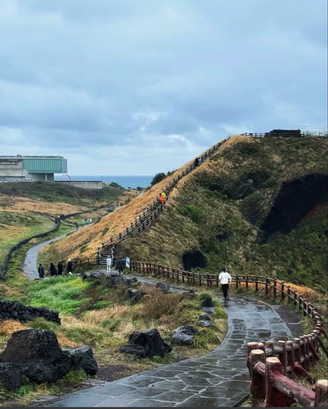 濟州島浪漫之旅