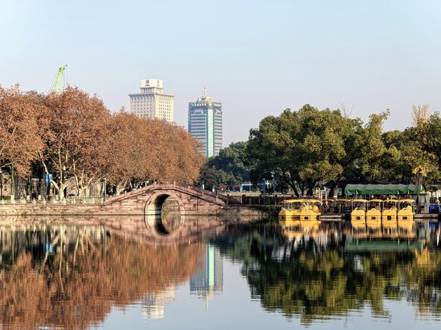 月湖公園的早晨丨穿越四季的江南園林