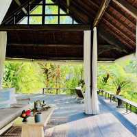 🌲 Bukit Bintang Banyan Tree 🌲 Resort in Bali 🌲 is definitely the ideal choice