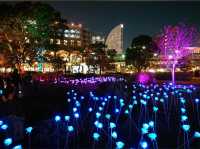 Yokohama Illumination 2023