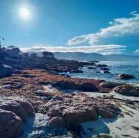 Bicheno Beach @ Tasmania 🇦🇺