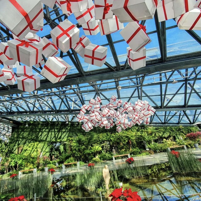 如美地植物園：春天美麗景點，適合任何時間和場景