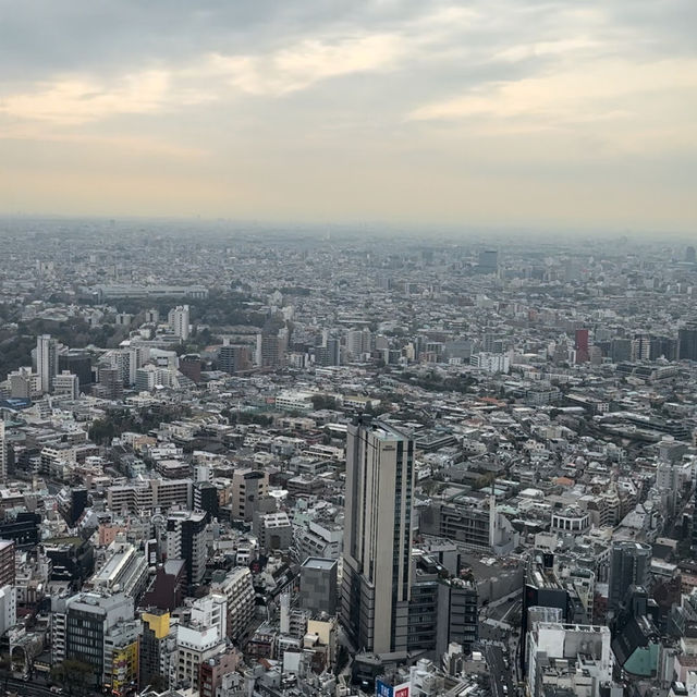 🌆 SHIBUYA SKY - 東京の天空で感じるパノラマビュー 🌌