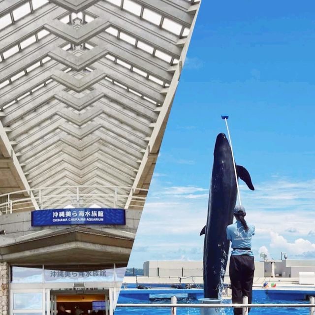 沖繩漂亮水族館