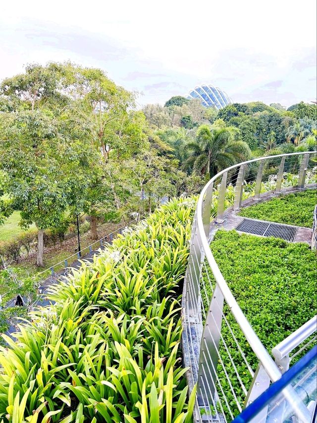 Exploring the Enchantment of Gardens by the Bay