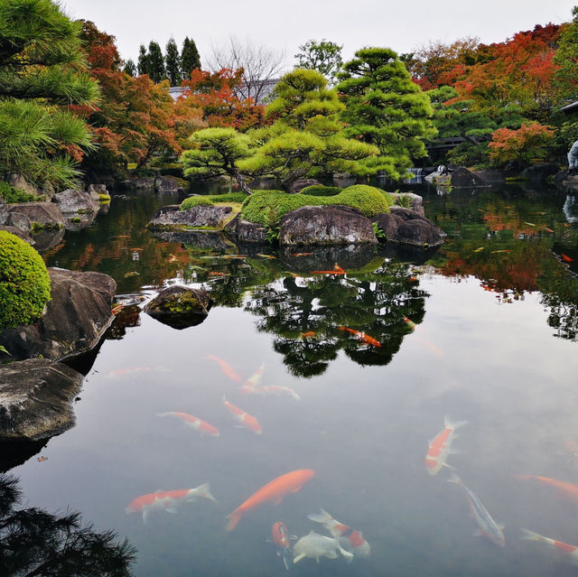 Nature’s Palette: Autumn Bliss at Kokoen Garden, Himeji!