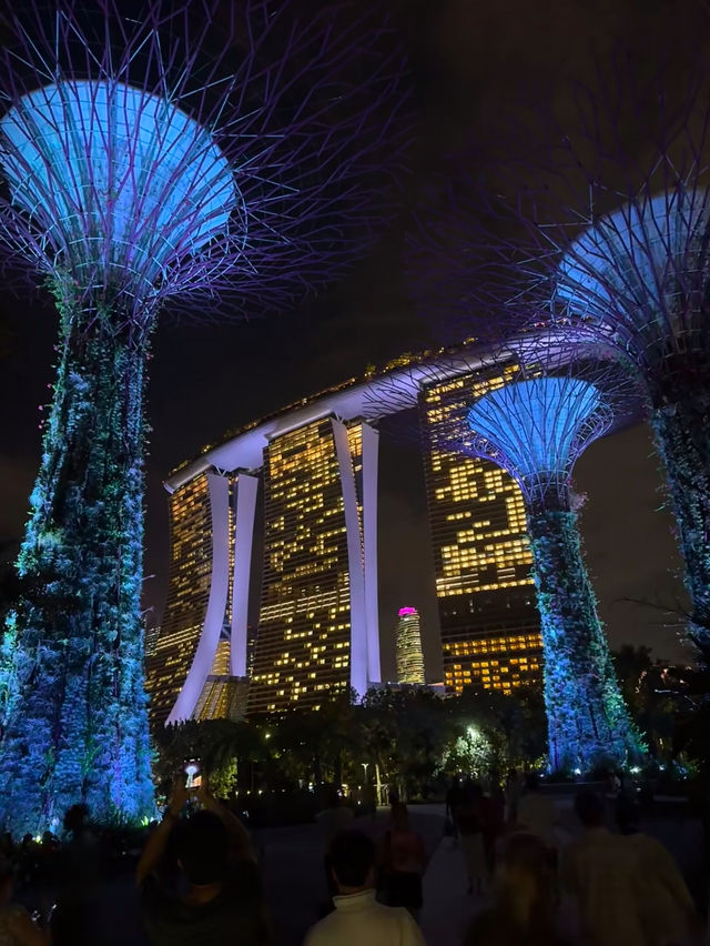 An awesome view of full singapore 🇸🇬 