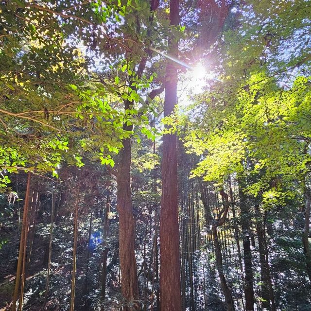 〔書寫山健行登山〕融合自然與歷史的全感體驗