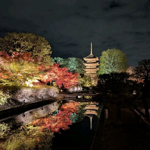 🇯🇵京都「東寺」 倒影如畫的夜楓🍁之旅！