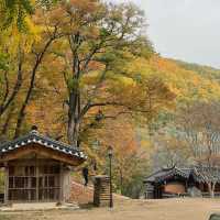 Gyeongju in autumn 