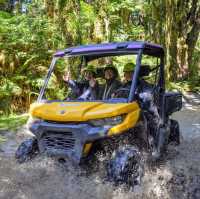 Buggy Riding Adventure at Franz Josef 