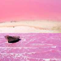 A Pink Paradise: Have You Seen the Stunning Lake Hillier in Perth??