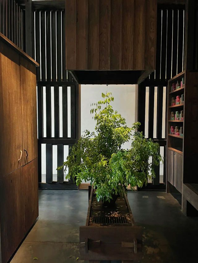 Aesop Thonglor Store