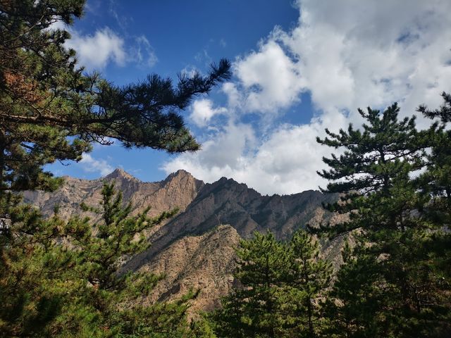 寧夏贺兰山蘇峪口國家森林公園