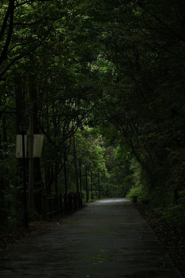 漳州平和｜N座寺N座山，靈通山遊記（附攻略||