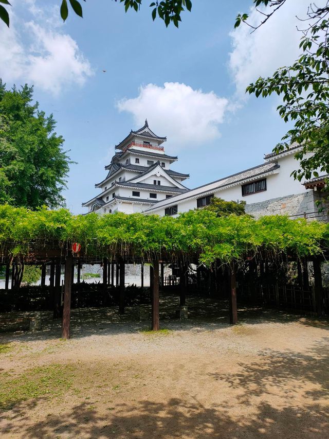 九州唐津古城漫遊記