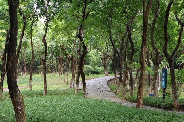 大夫山森林公園南門，坐落於廣州番禺的綠意盎然之地～