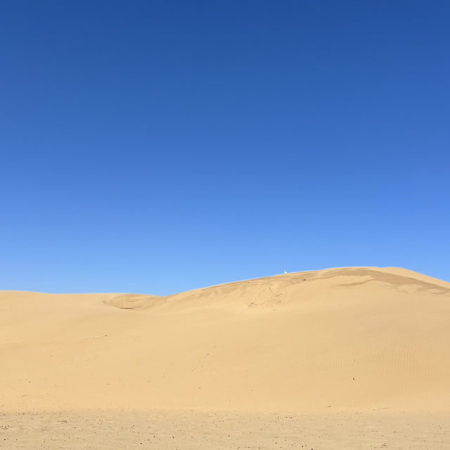 A Unique Desert Experience in Inner Mongolia