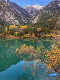 Exploring Jiuzhai Valley: A Natural Wonderland