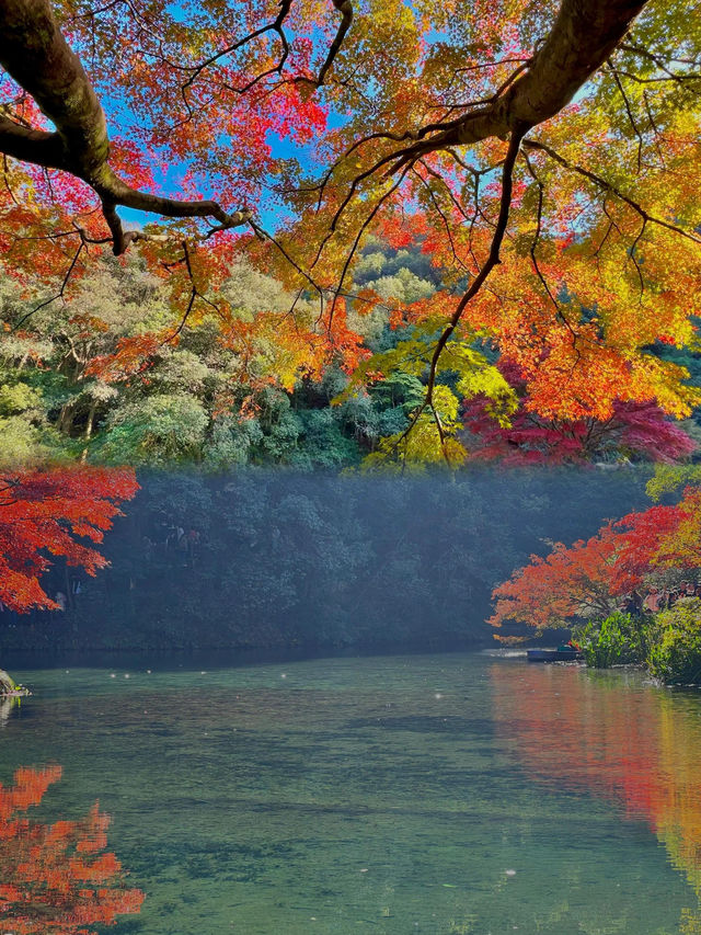 12月九溪秋景，宛如上帝的調色盤