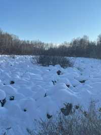 五大連池｜小眾旅遊地｜來追一場北方的雪