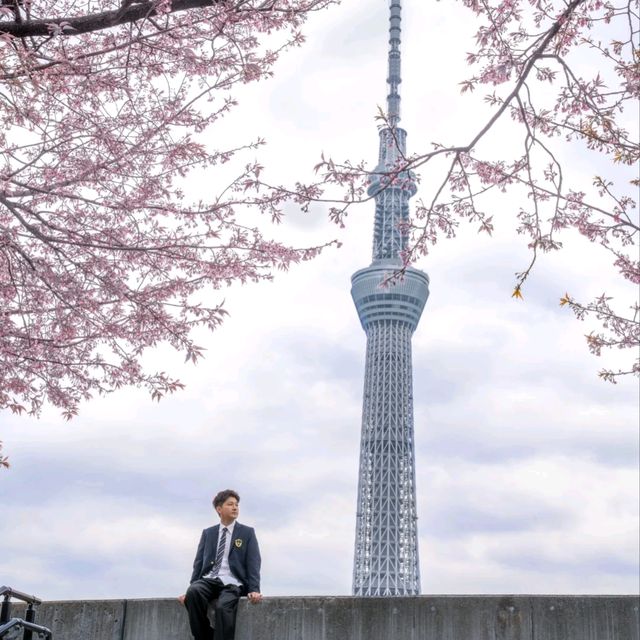 霓虹國出片聖地✨日本必打卡景點攻略