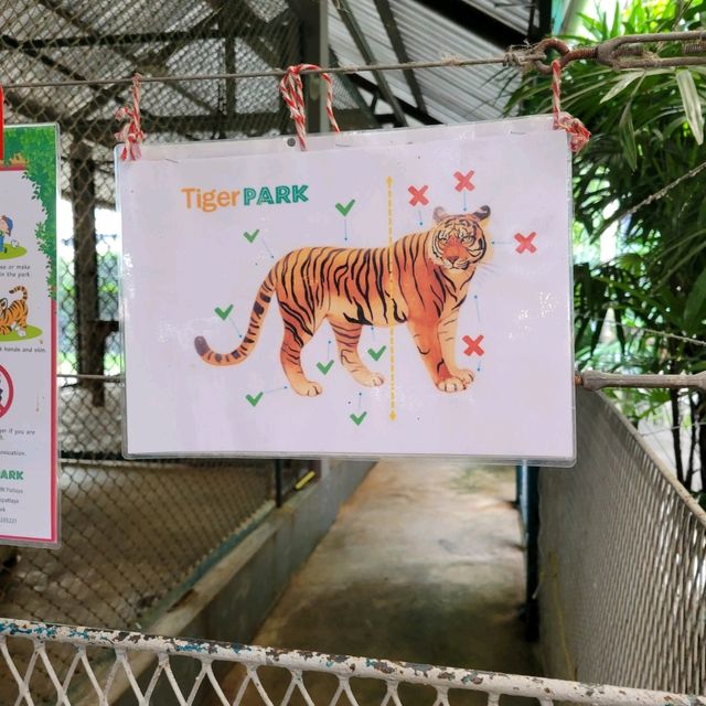 Pattaya Tiger Park