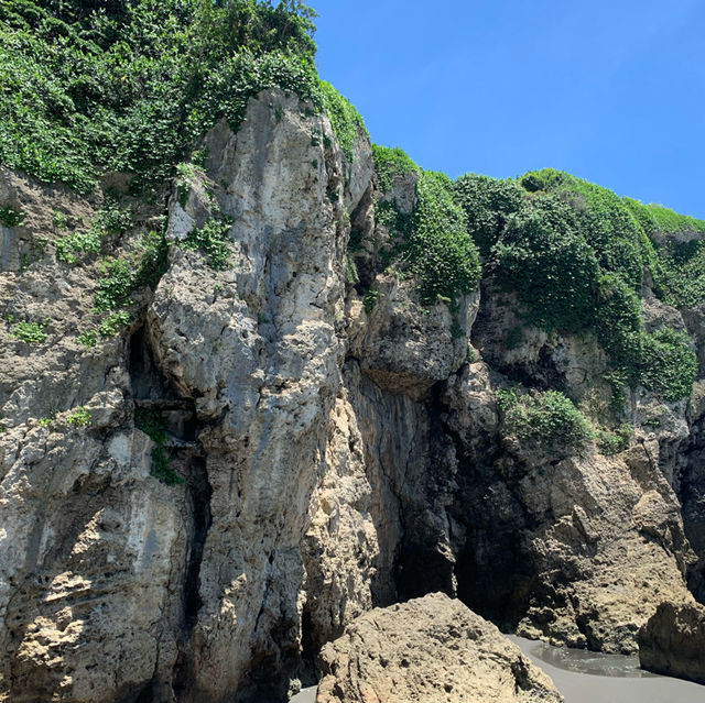 【高雄旅遊】單車遊旗津，還有美食等你品味！