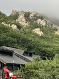 첩첩산중 🏞️ 아름다운 백두대간 풍경을 볼 수 있는 산 속 전망대 휴게소 💚