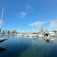 Ocean Giants: A Thrilling Whale-Watching Adventure at Surfer’s Paradise 🇦🇺