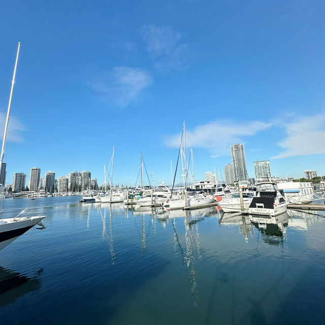 Ocean Giants: A Thrilling Whale-Watching Adventure at Surfer’s Paradise 🇦🇺