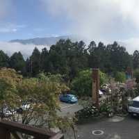 Chasing the misty sunrise on Alishan and soaking in the serenity of Sun Moon Lake