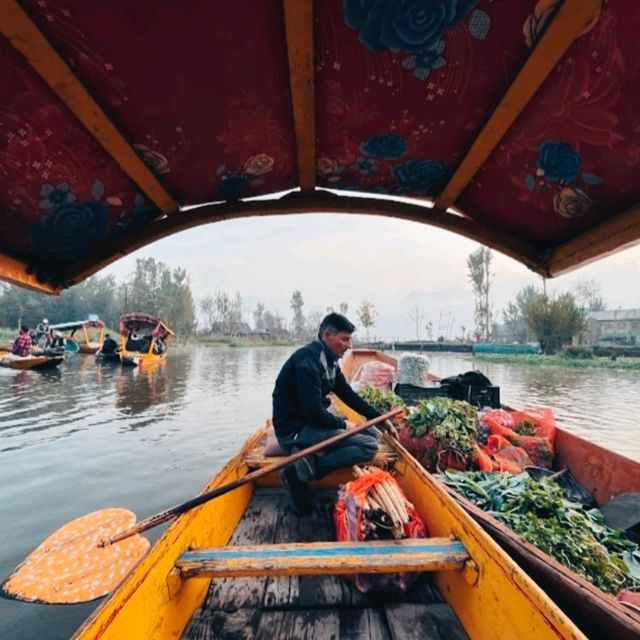 FLOATING VEGETABLE MARKET OF SRINAGAR.