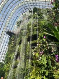 Gardens by the Bay: A Spectacular Urban Oasis