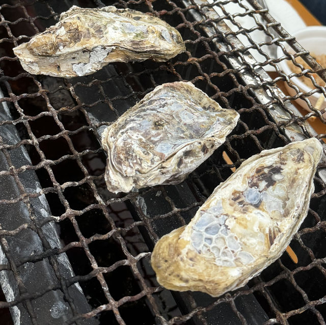 Beauty in the drizzle - Itoshima day trip 