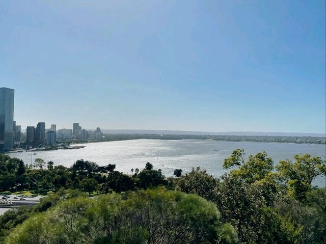 Tranquil Escape at Kings Park and Botanic Garden