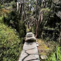 Cradle Mountain-Lake St Clair National Park, Tasmania