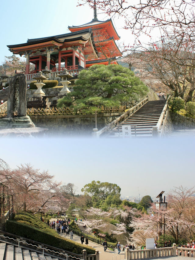 Morning Splendor at Kiyomizu-dera: Beauty Amidst the Crowds