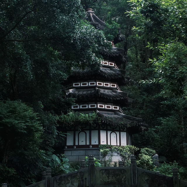 深圳園博園｜綠意盎然的城市綠洲，放鬆身心的理想場所