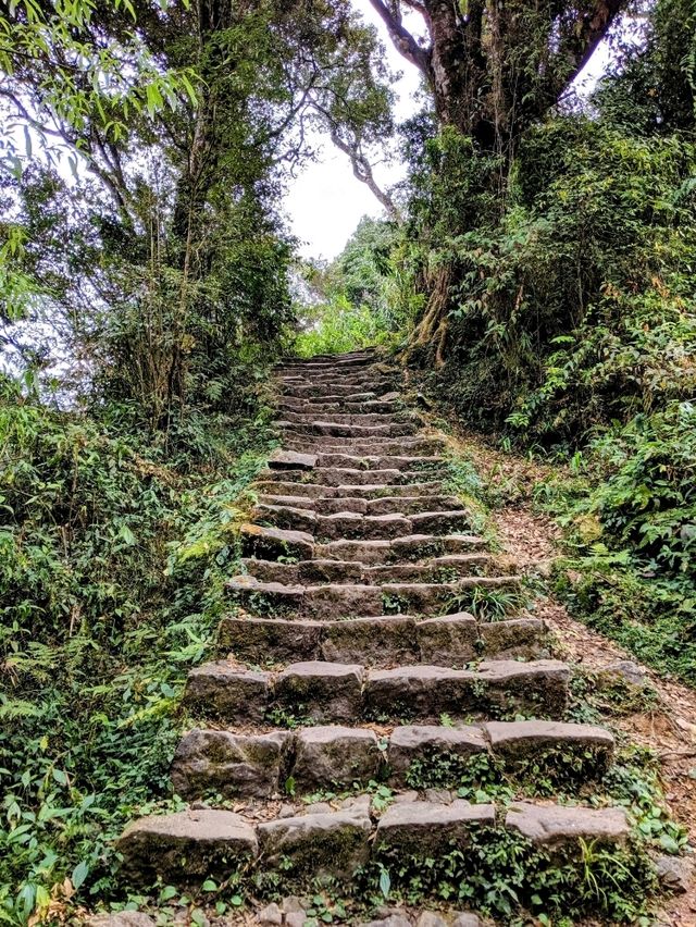 漫步奮起湖森林步道：小百岳大凍山