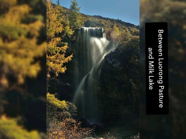 Best Autumn Viewing Experience 1/3 [Luorong Pasture, Yading Nature Reserve]