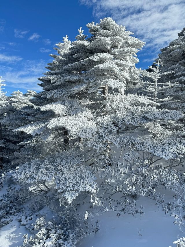 次看到蒼山雪了，感受到了生命的大自在