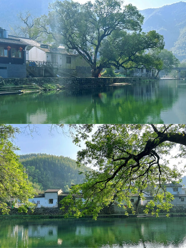 江浙滬的秘密後花園！余姚鹿亭中村，夏日玩水避暑寶藏地