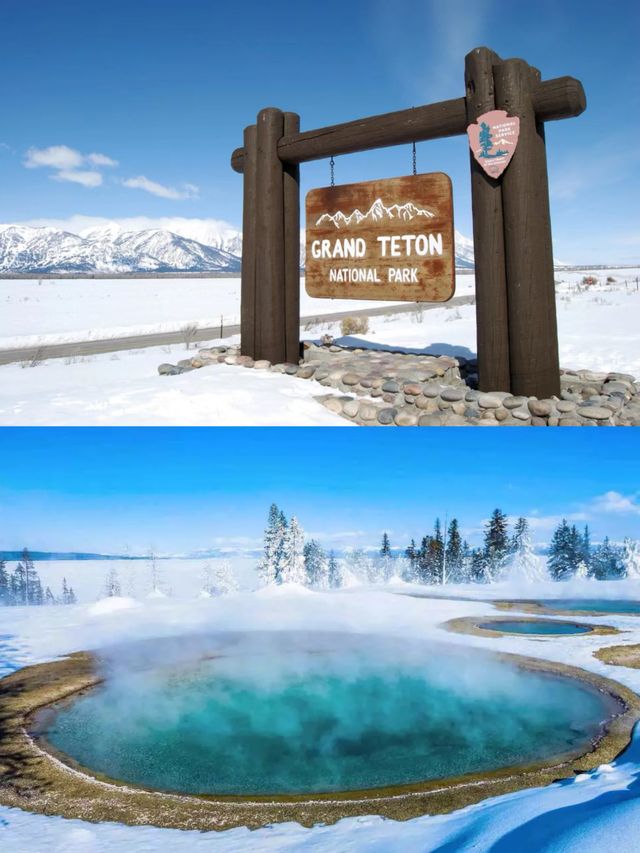 Winter Wonderland in Yellowstone National Park: A 5-Day Detailed Guide!