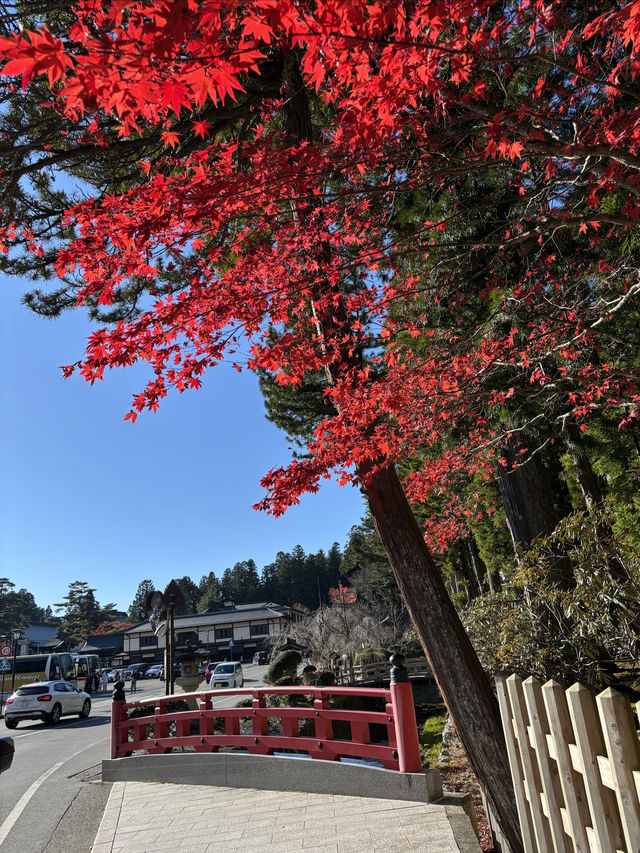 世界文化遺產日本佛教聖地高野山一日遊