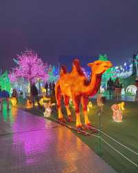 Exciting News: 50% Off Mississauga Illumi Light Show!