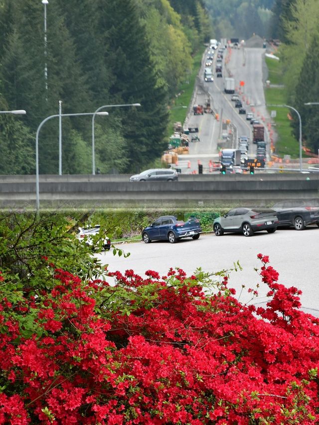 西雅圖周邊秘境大公開！Snoqualmie 瀑布遊玩攻略來啦